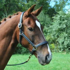 Red Barn Grace Calf-Lined Halter