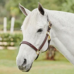 Walsh Triple Stitch Boston Halter Made Exclusively For SmartPak
