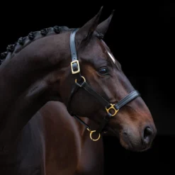 Amigo® Padded Halter