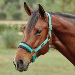 SmartPak Breakaway Halter With COOLMAX&reg; Padding 2.0 -Ovatio Horse Shop 32551 aqua onhorse 1