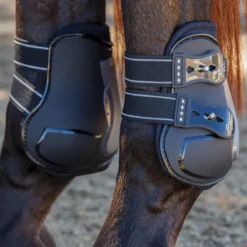 Professional's Choice Pro Performance Rear Boots -Ovatio Horse Shop 32867 black onhorse