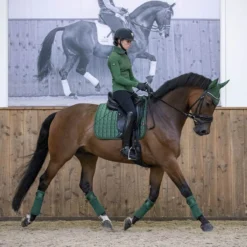 LeMieux Loire Classic Dressage Square Saddle Pad -Ovatio Horse Shop 33262 hunter lifestyle 1