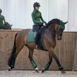 LeMieux Loire Classic Dressage Square Saddle Pad -Ovatio Horse Shop 33262 hunter lifestyle 3