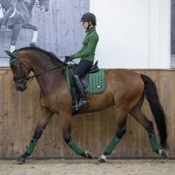 LeMieux Loire Classic Dressage Square Saddle Pad -Ovatio Horse Shop 33262 hunter lifestyle 4