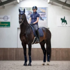 LeMieux Loire Classic Dressage Square Saddle Pad -Ovatio Horse Shop 33262 navy lifestyle 1