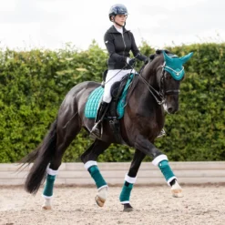 LeMieux Loire Classic Dressage Square Saddle Pad -Ovatio Horse Shop 33262 peacock lifestyle 3
