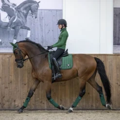 LeMieux Loire Polo Bandages -Ovatio Horse Shop 33263 hunter lifestyle 1