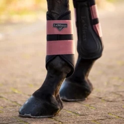 LeMieux Grafter Brushing Boots -Ovatio Horse Shop 33285 orchid 1