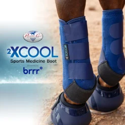 Professional's Choice 2XCOOL Sports Medicine Boots- Pair -Ovatio Horse Shop 33362 navy onhorse