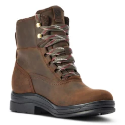 Ariat Harper Waterproof -Ovatio Horse Shop 33556 chocolate 3