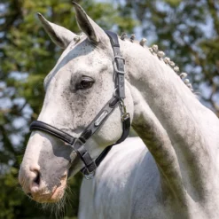 LeMieux Capella Leather Halter -Ovatio Horse Shop 33848 grey 1