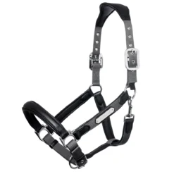 LeMieux Capella Leather Halter -Ovatio Horse Shop 33848 grey 2