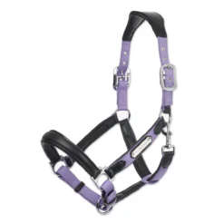 LeMieux Capella Leather Halter -Ovatio Horse Shop 33848 iris 1