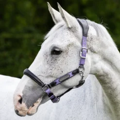 LeMieux Capella Leather Halter