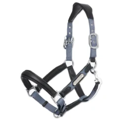 LeMieux Capella Leather Halter -Ovatio Horse Shop 33848 jayblue 1