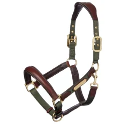 LeMieux Capella Leather Halter -Ovatio Horse Shop 33848 moss