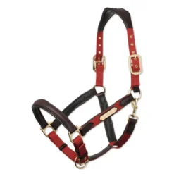 LeMieux Capella Leather Halter -Ovatio Horse Shop 33848 sienna 1