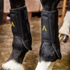Horseware Ireland Horseware Adagio Boots -Ovatio Horse Shop 34223 black 1