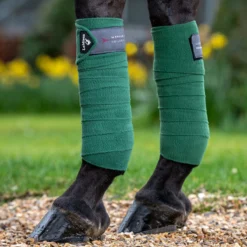 LeMieux Polo Bandages 12 LeMieux Polo Bandages -Ovatio Horse Shop 34286 hunter green 2