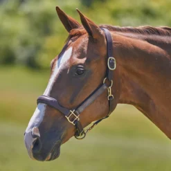 Harwich&reg; Ergonomic Halter By SmartPak 2.0