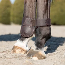 LeMieux Capella Leather Fetlock Boots -Ovatio Horse Shop 34750 brown 3