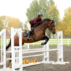 Kerrits Arena Training Knee Patch Breech 7 Kerrits Arena Training Knee Patch Breech -Ovatio Horse Shop 35587 tan 2