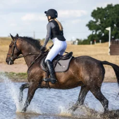 Airowear Outlyne II Protective Vest 9 Airowear Outlyne II Protective Vest -Ovatio Horse Shop 35730 black l1