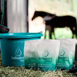 Gallagher's Water&trade; -Ovatio Horse Shop 35953 l1