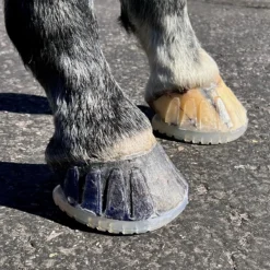 EasyShoe Versa Grip Octo Glue On Shoe 7 EasyShoe Versa Grip Octo Glue On Shoe -Ovatio Horse Shop 36002 4