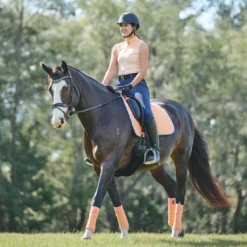 Piper Evolution Mid-rise Breeches By SmartPak - Full Seat - Clearance! -Ovatio Horse Shop 52 nfs 35224 33428 35226 26302 melonnavywhite printdigital 8649 1