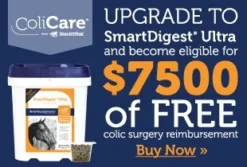 SmartDigest&reg; -Ovatio Horse Shop 73828 Upsell3 SDU 310x210